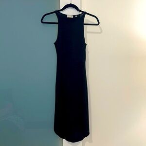Aritzia Dress